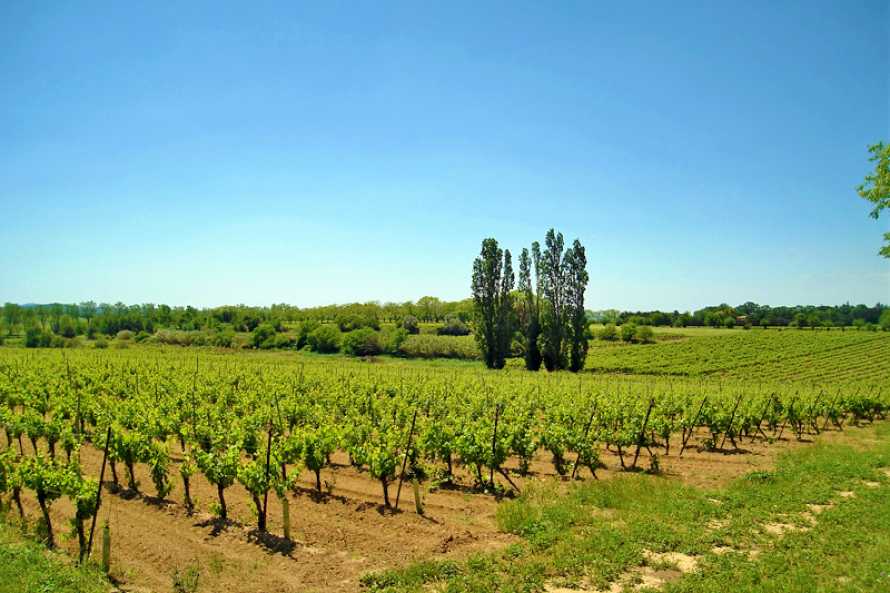 Domaine de la Roquette