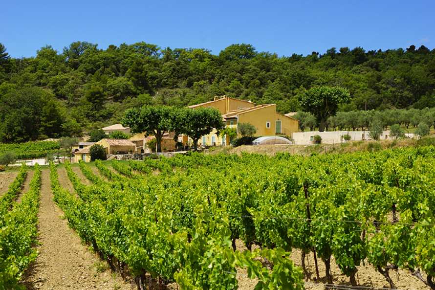 Agriturismo E B B Di Charme Domaine De Font Alba Apt Vaucluse Provenza Alpi Costa Azzurra Francia