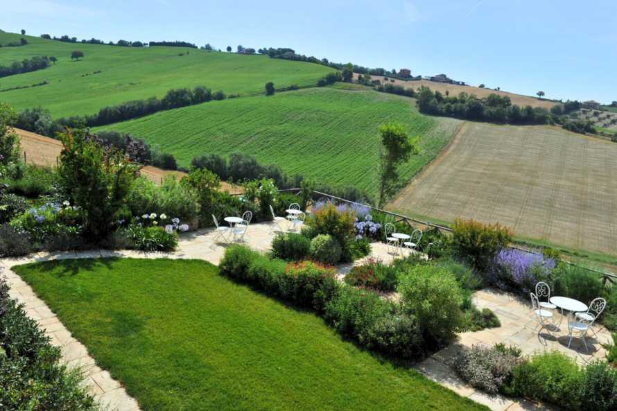 il sambuco