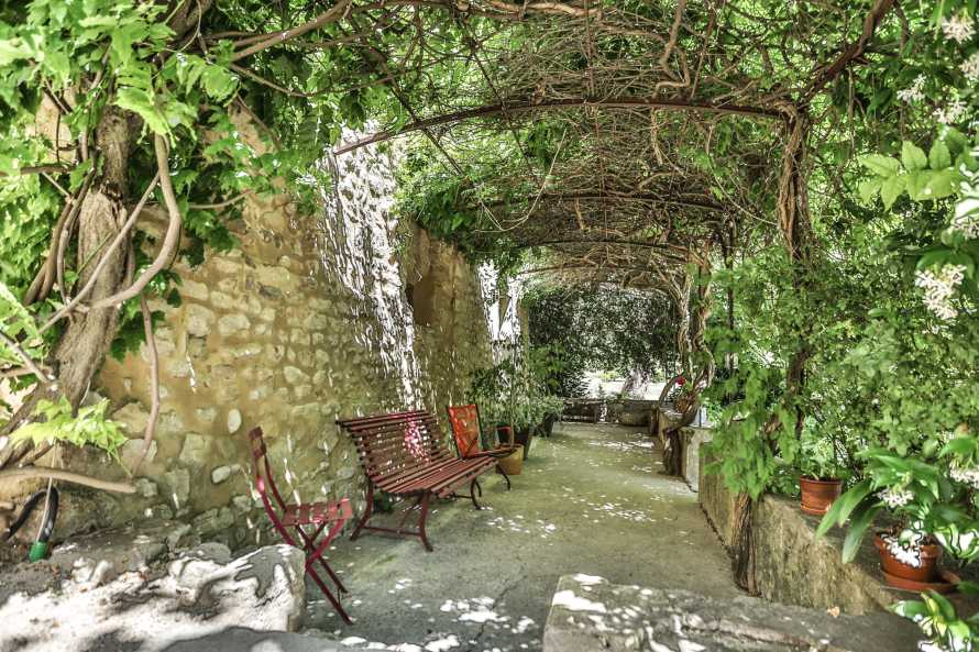 La treille du Prieuré la Madelène Maison d'hôtes de charme en Provence 