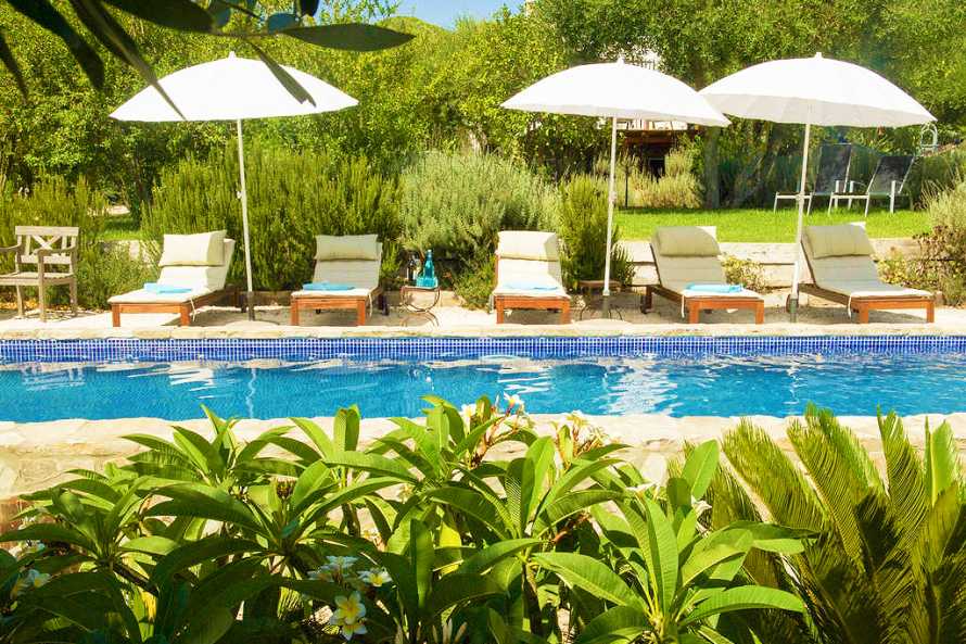 MEERLUST - LAS BALLENAS