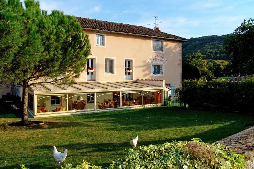 La pelouse des poules 