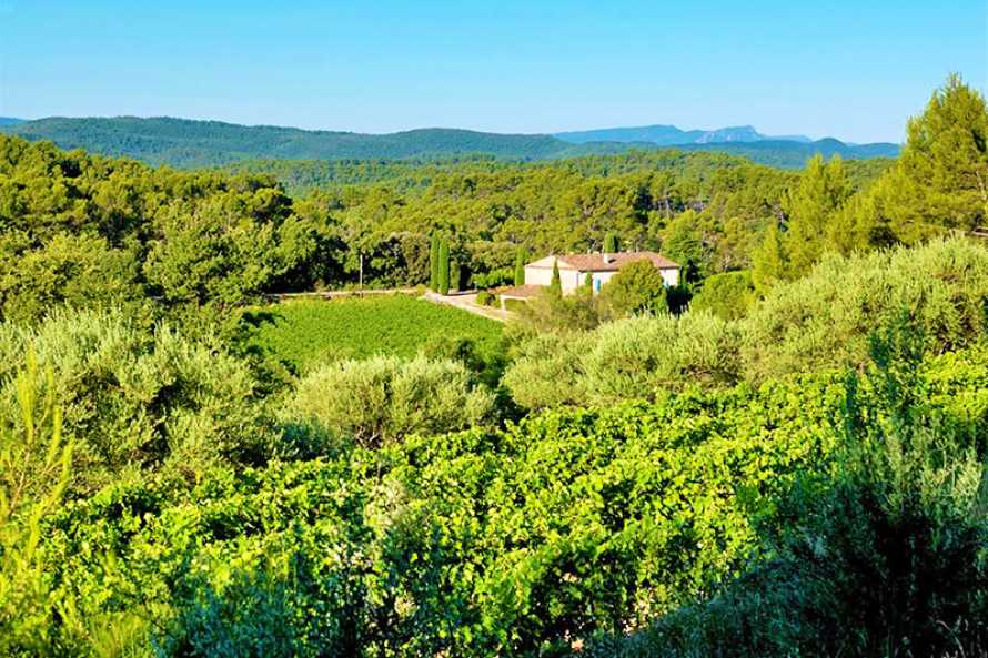 Le Domaine du Clos d'Alari