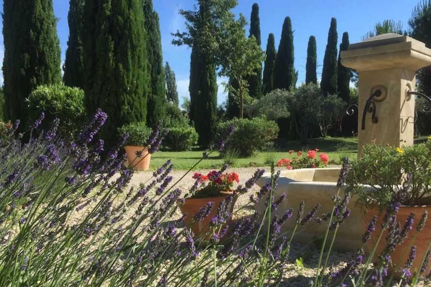 Lavanda e fontana