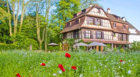 DU C&Ocirc;T&Eacute; DE CHEZ ANNE