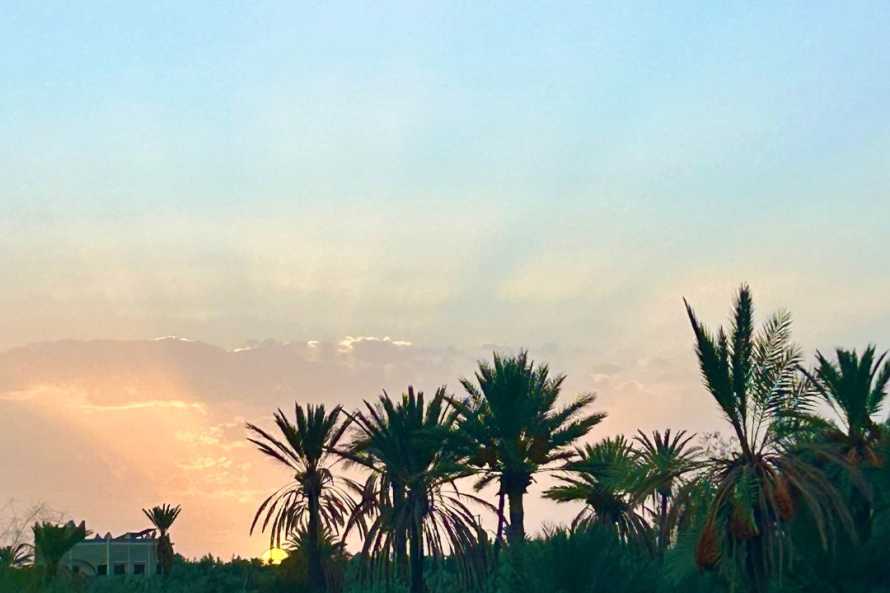 Les Jardins de Skoura