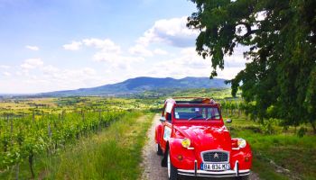 Attivit&agrave; insolite