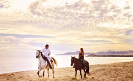 Equitazione